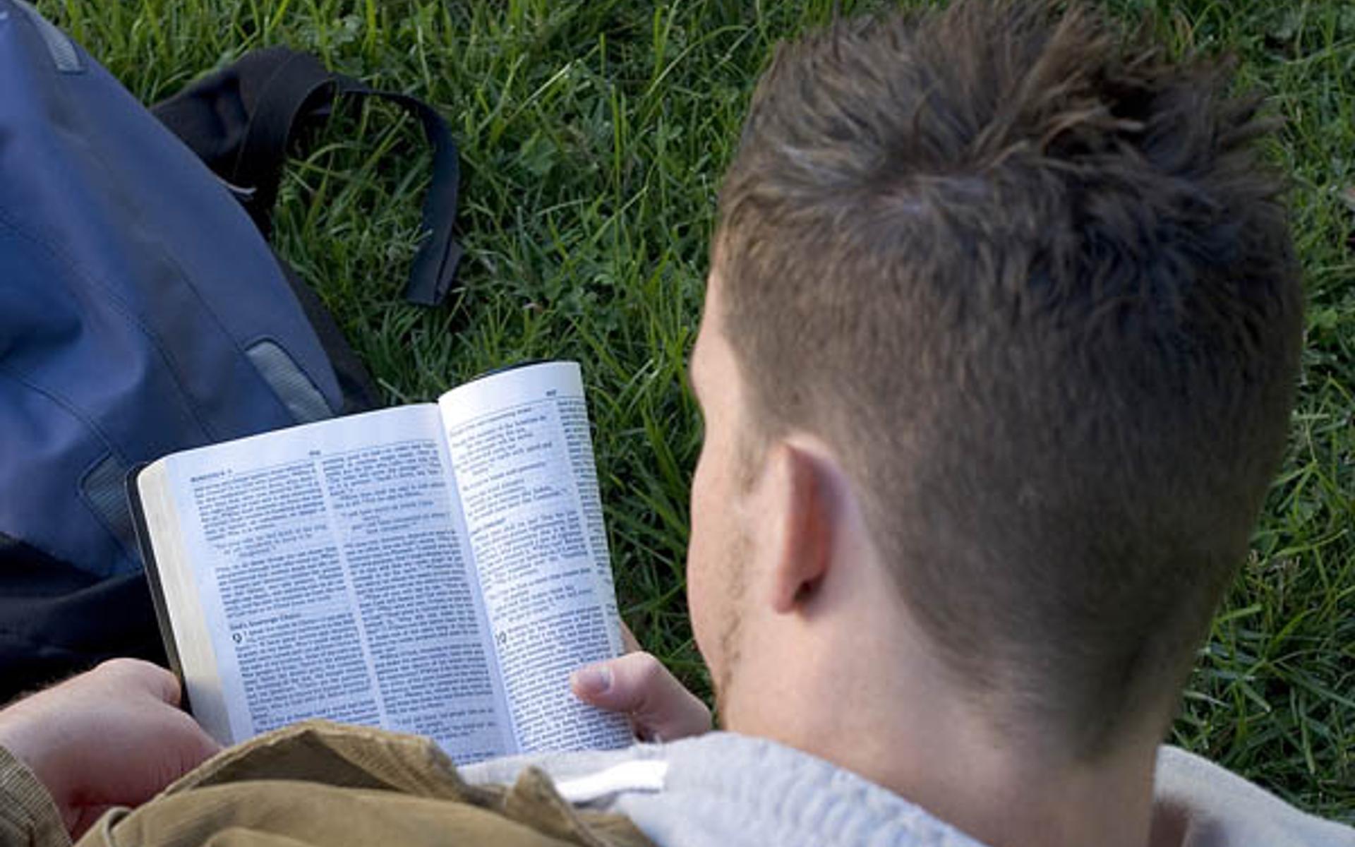 Bibel lesen
