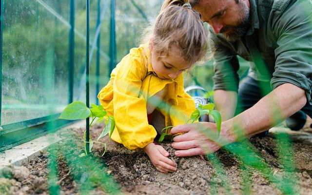 Gemeinsam einpflanzen