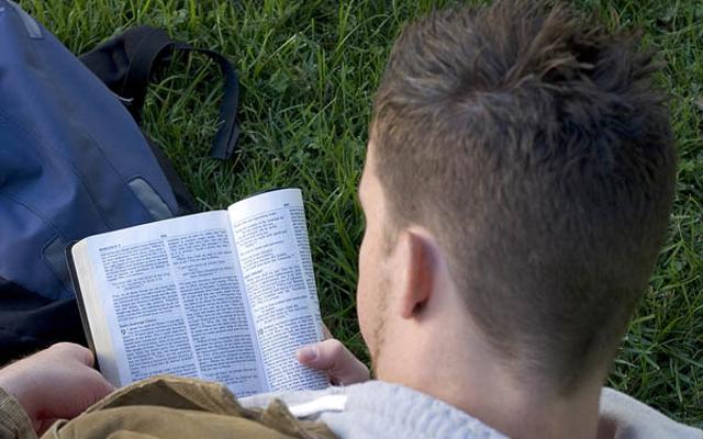 Bibel lesen