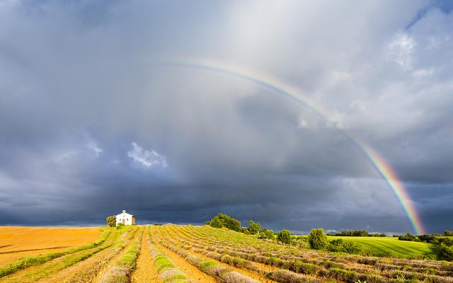 kleine Kirche hinter einem gelben Feld, mit einem Regenbogen (Plateau de Valensole, Provence, Frankreich; Bigstock: 59983520)