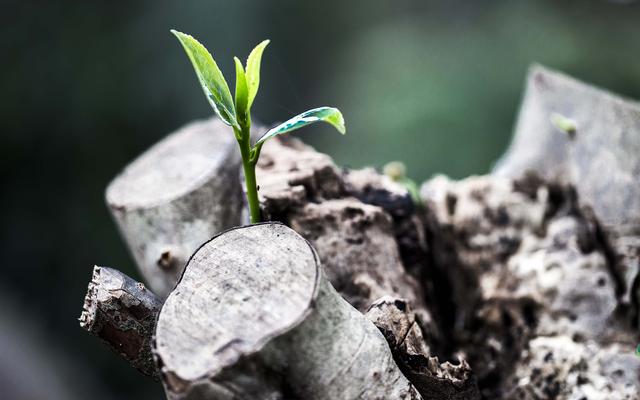 Neu anfangen