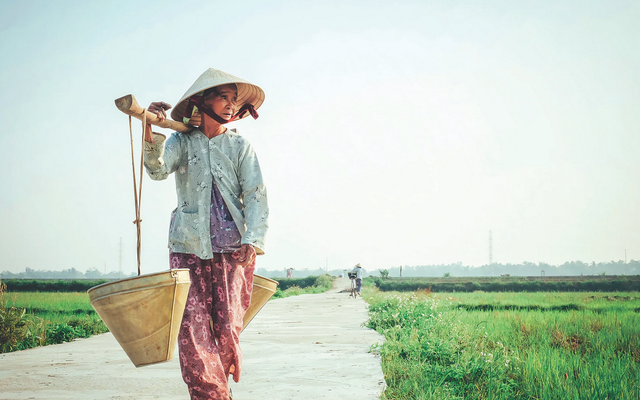 Vietnamesin
