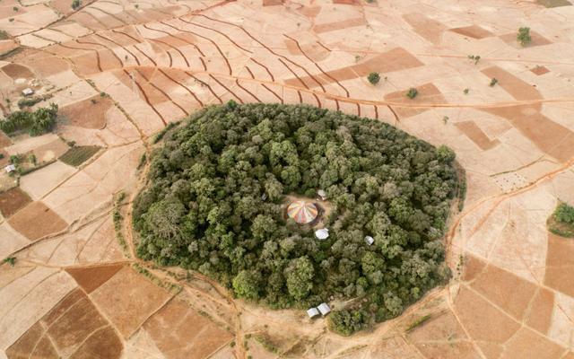 Kirche umringt von einem Wald in Äthiopien