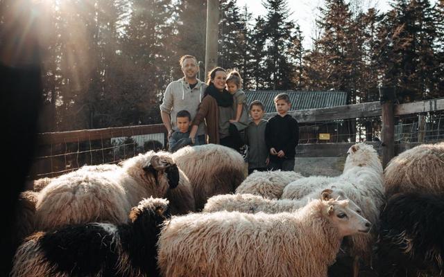 Stephan Maag mit seiner Familie und seiner Schafherde