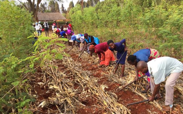 Menschen in Simbabwe lernen, wie sie ertragreich Landwirtschaft betreiben können