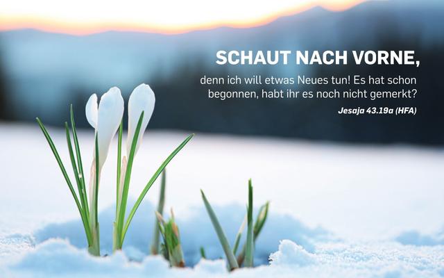 Die Neujahrskarte von Livenet.ch und Jesus.ch