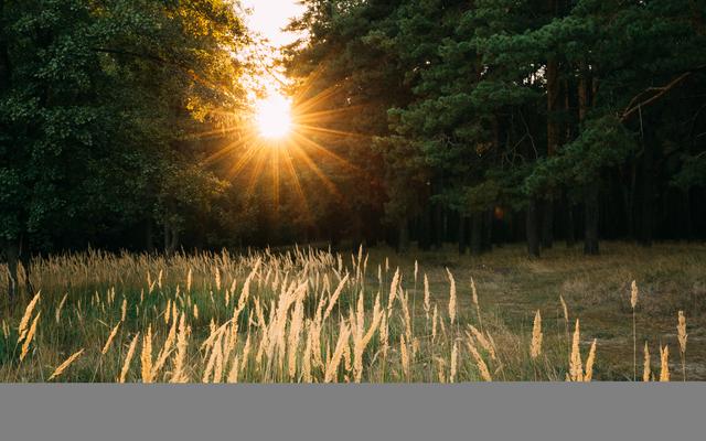Sonne bringt Licht ins Dunkeln