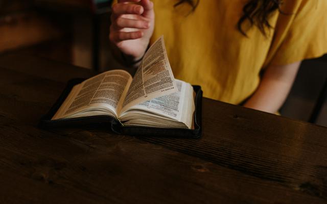 Wie glaubwürdig ist die Bibel?