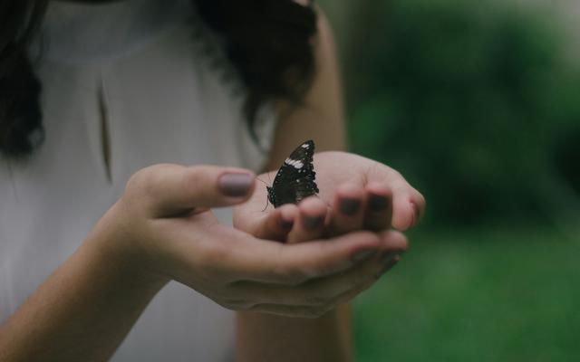 Der Schmetterling ist ein Symbol für Sanftheit