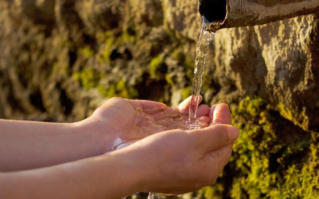 Von der Wasserquelle trinken