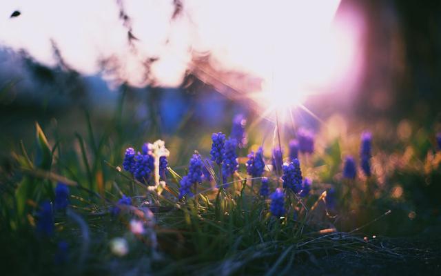 Im Frühling werden die Sonnenstrahlen wieder kräftiger
