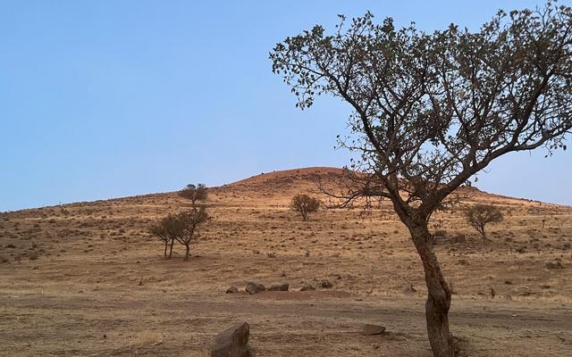 Trockenes Land