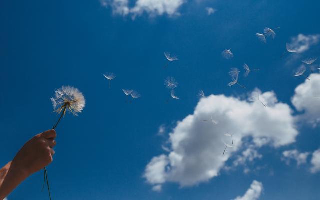 Wind vom Himmel