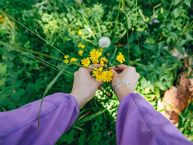 Blumen pflücken