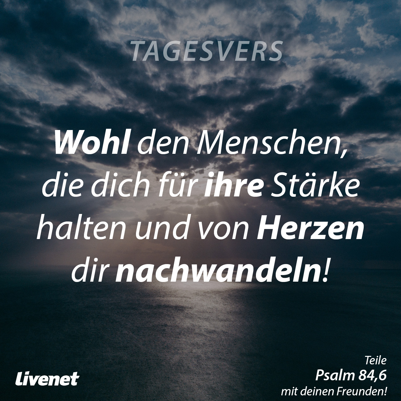 Tagesvers