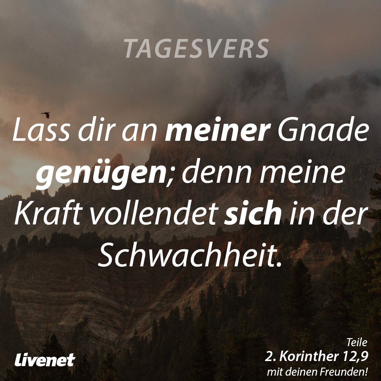 Tagesvers