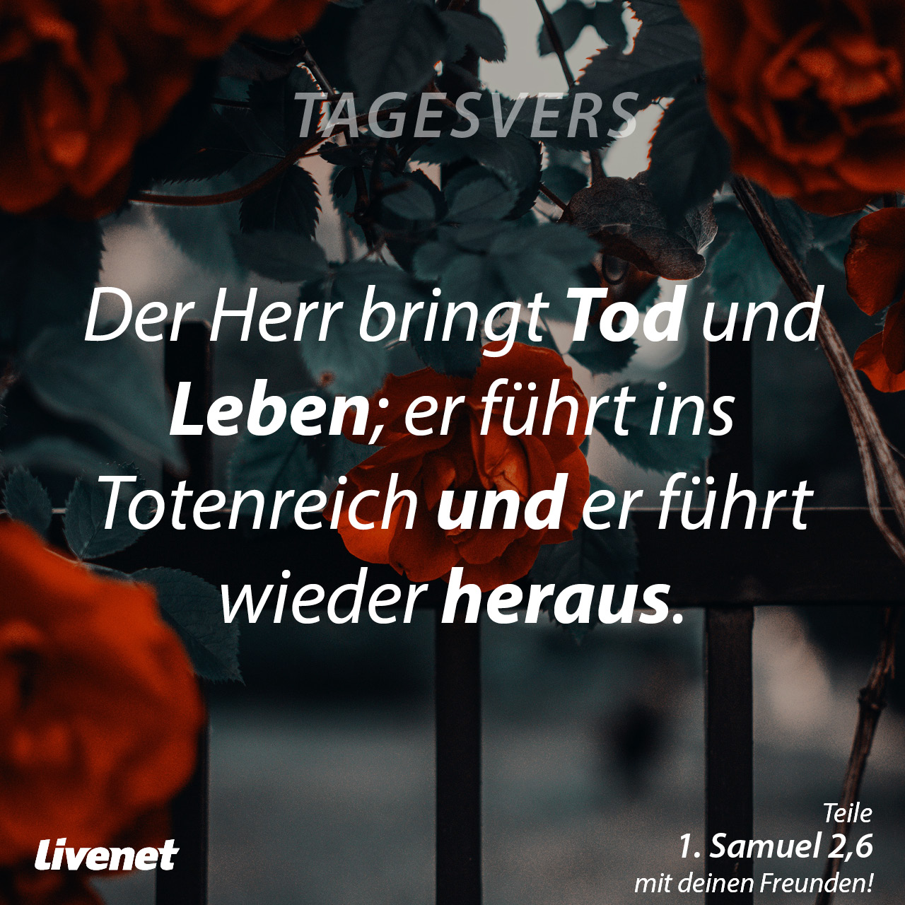 Tagesvers