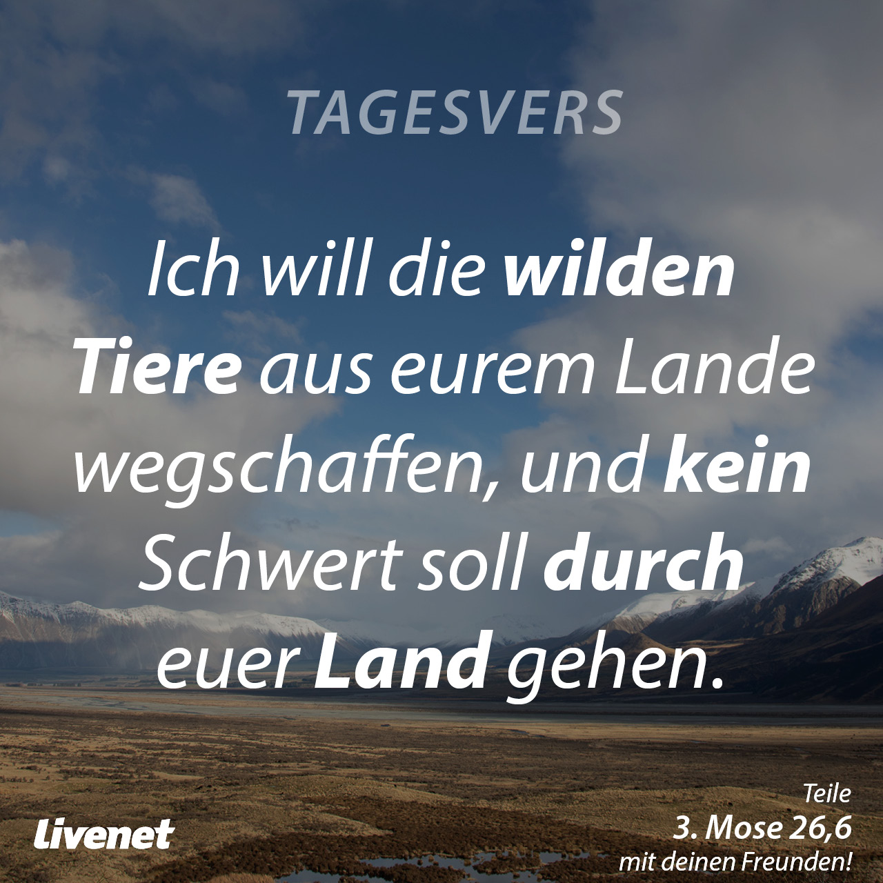 Tagesvers