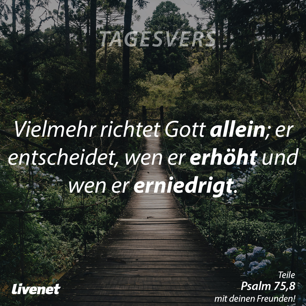 Tagesvers