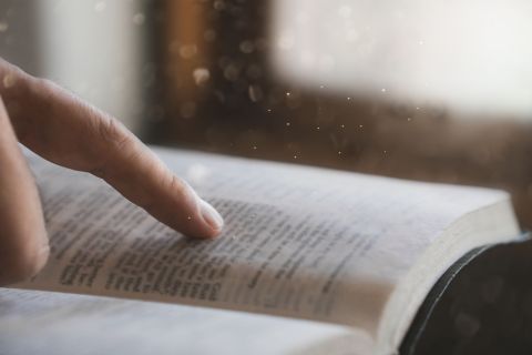 Bibel lesen