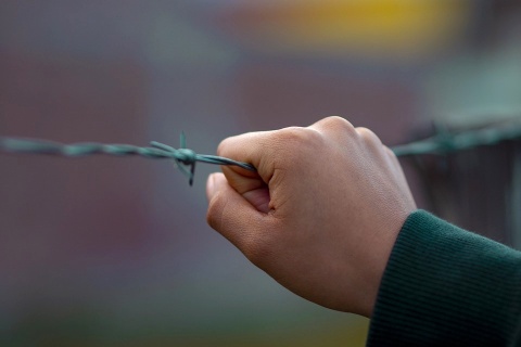 Hand an Stacheldraht