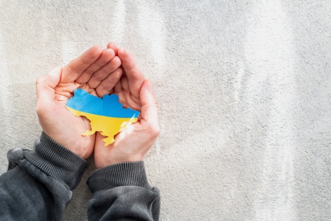 Ukraine in sicheren Händen