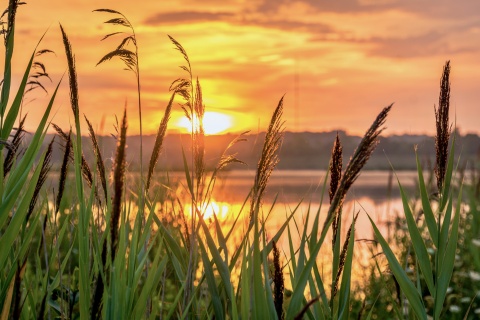 Sonnenaufgang