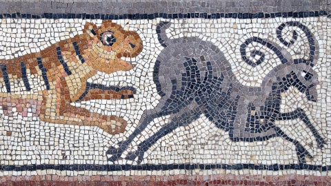 Tiger jagt Steinbock – Dekoration an einer Synagoge in Huqoq, Israel