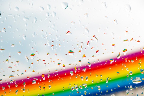 Das Buch wirft Fragen auf zum Thema 'LGBTQ'