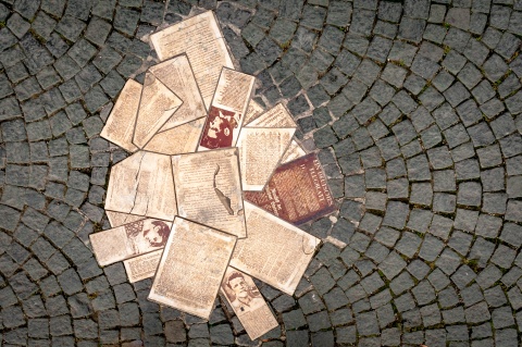 Bodendenkmal der Weissen Rose