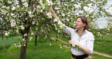 Daisy Gräfin von Arnim