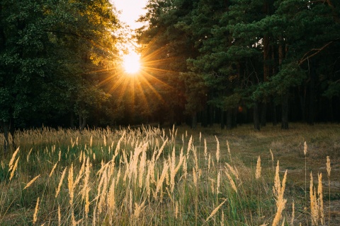 Sonne bringt Licht ins Dunkeln
