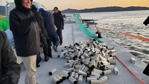 Die Aktivisten warfen die Behälter vor der Küste Nordkoreas ins Meer.