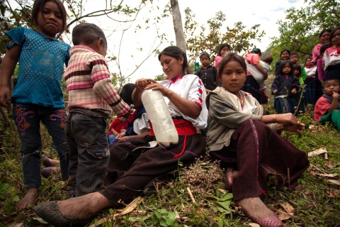 In Chiapas begeben sich derzeit viele Menschen auf die Flucht.