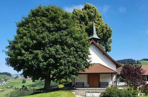 Die Kirche in Heiligenschwendi hat eine herrliche Aussicht auf Thun.
