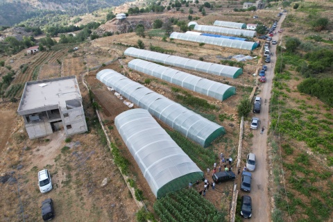 Auf der «Seeds of Hope»-Farm werden Lebensmittel produziert, die dann an Bedürftige verteilt werden.