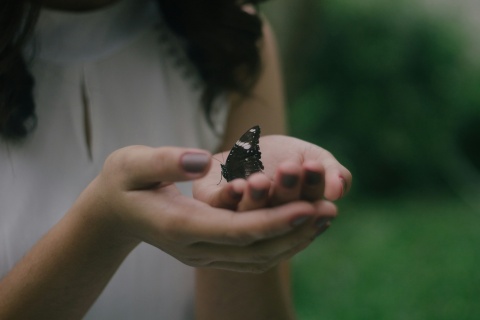 Der Schmetterling ist ein Symbol für Sanftheit