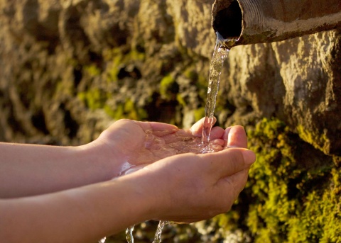 Von der Wasserquelle trinken