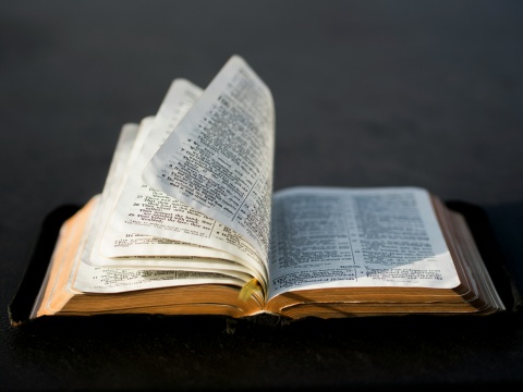 Die Bibel