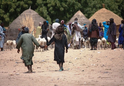 In der Sahel-Zone haben sich Tausende Menschen taufen lassen
