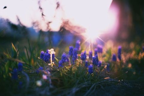 Im Frühling werden die Sonnenstrahlen wieder kräftiger