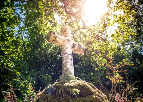 Kreuz in der Natur