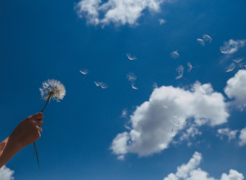 Wind vom Himmel