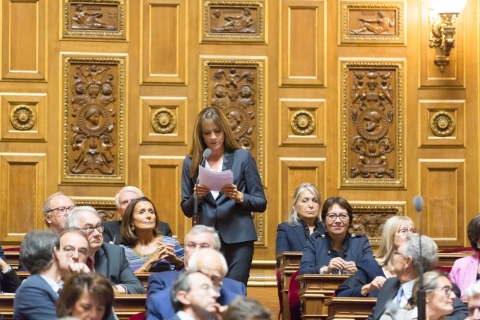 Sylviane Noël (Mitte stehend) im Senat