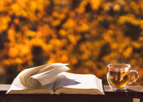 Was ist die Essenz der Bibel?