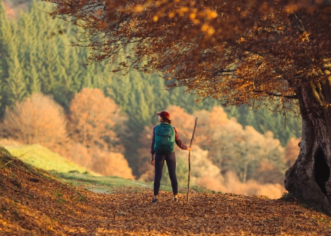 Alexandra Czechs Zeugnis ermutigt dazu, Jesus selbst zu suchen (Symbolbild)