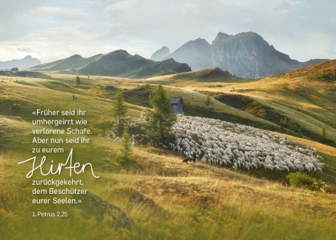 Unser Hirtenjahr geht langsam zu Ende