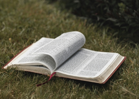Wie das Wort Gottes sollen wir nachhaltig leben (Symbolbild)